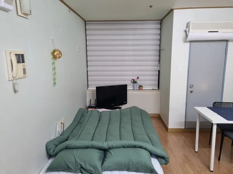 [Jung-gu, Seoul][Seoul Dongdaemun] Green Home, 5 minutes walk from Dongdaemun Euljiro 2