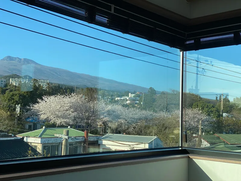 [Hogeun-dong, Seogwipo] Ocean View Jeju Emotional Accommodation #Convenient Transportation #Stone Wall #Premium #Emotional Accommodation 79