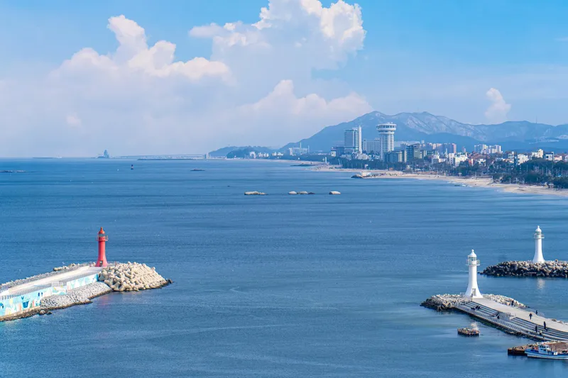 [Gangneung] Fantastic ocean view and Daegwallyeong sunset view newly built 35 pyeong 4