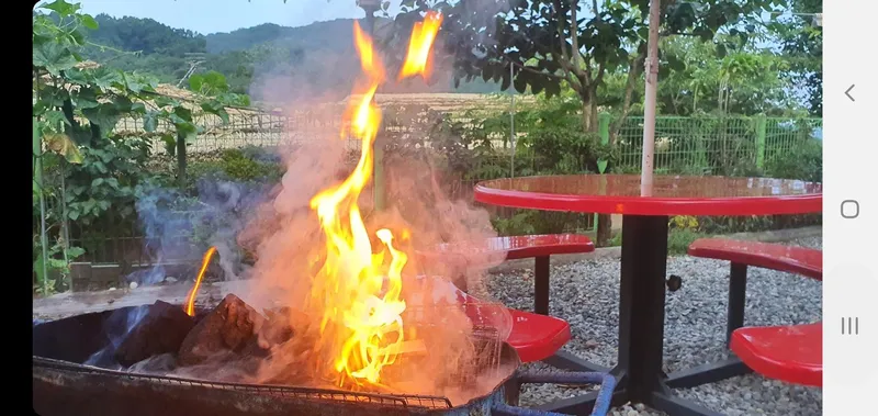 [Jangseong][Jeollanam-do Jangseong] The best phytoncide place in the country, Geumgok Film Village Cypress Pension 103 13