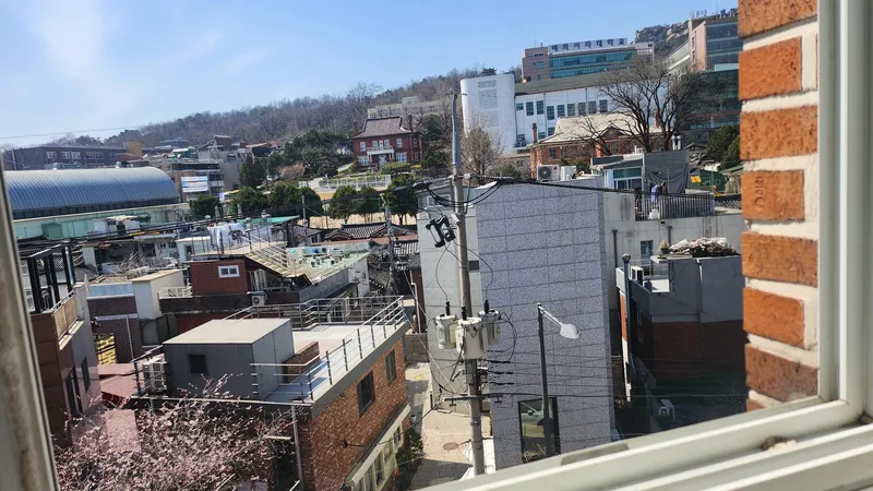 [Jongno, Seoul] Spring 3 10