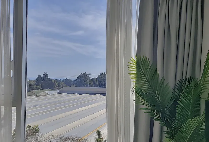 [Topyeong-dong, Seogwipo] A healing accommodation with a fantastic unobstructed view_Hotel style 6