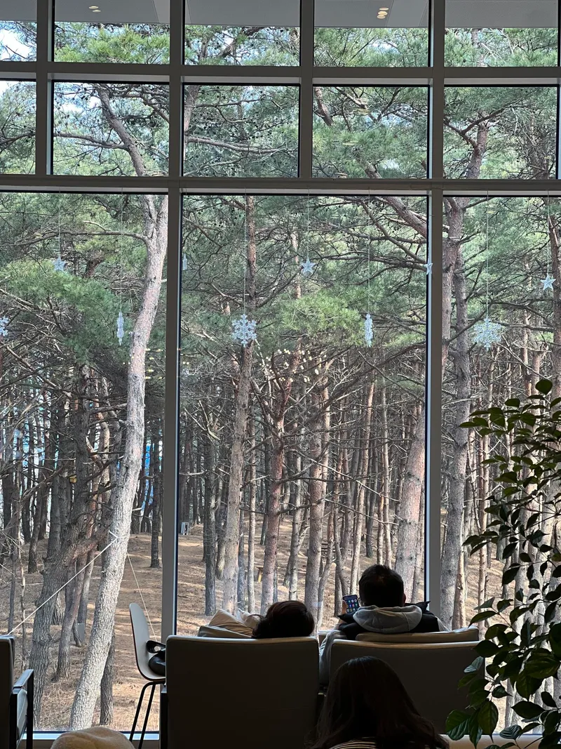 [강원 양양] 바다 근처 전면 오션뷰 감성숙소 #서피비치 5분 23