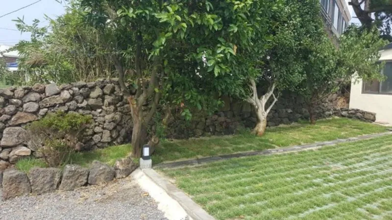 [Hallim, Jeju] Stone Wall House S with a lawn yard and stone wall 21
