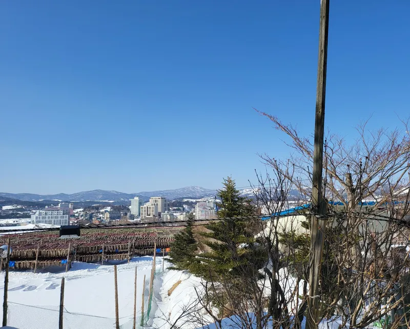 [Pyeongchang] Daegwallyeong Christmas 16