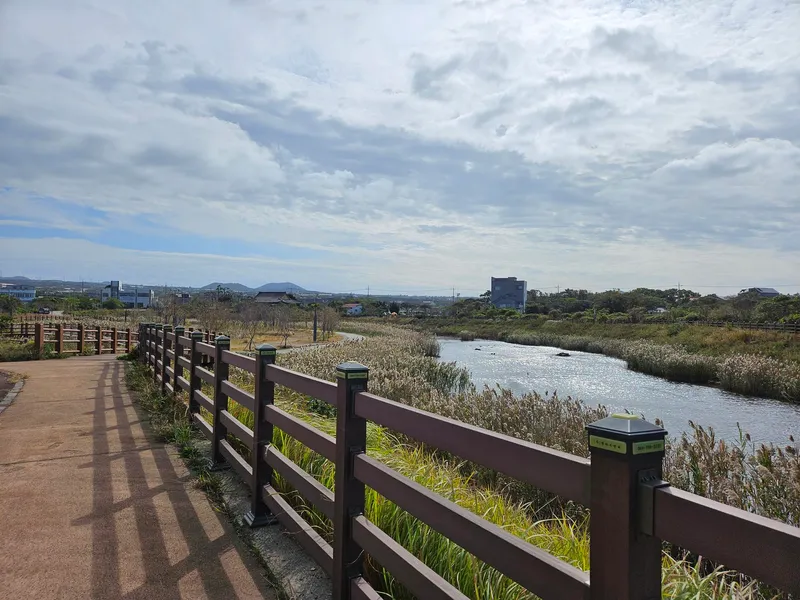 [제주 한림] 협재해변 5분, 편세권, 나만의 카페, 잔디마당 독채 24