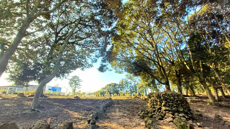 [Gujwa, Jeju] Jeju Shinsang Pension 102 with a beautiful garden and forest 22