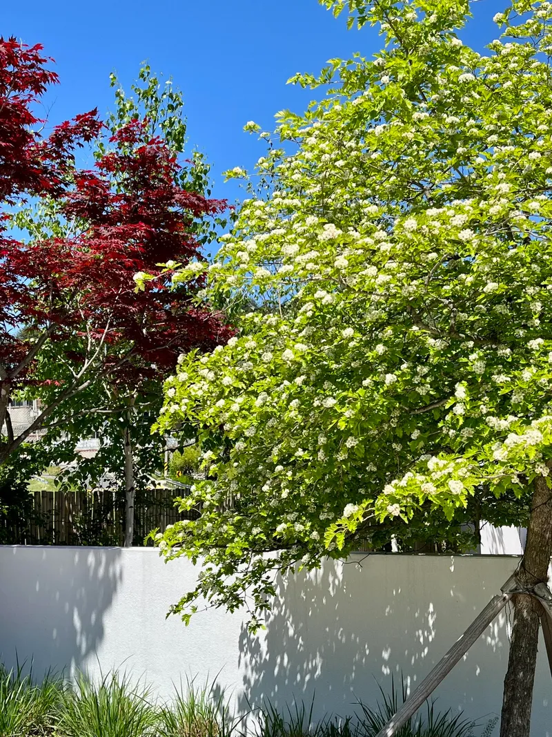 [Gangneung] Gangneung Kids Pension Gangneung Kids Pool Villa Gangneung Pension Four Seasons Hot Water Pool 15