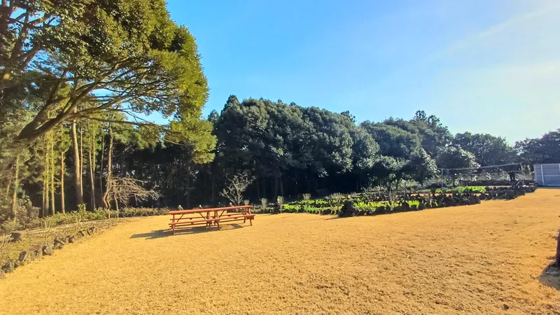[Gujwa, Jeju] Jeju Shinsang Pension 102 with a beautiful garden and forest 26