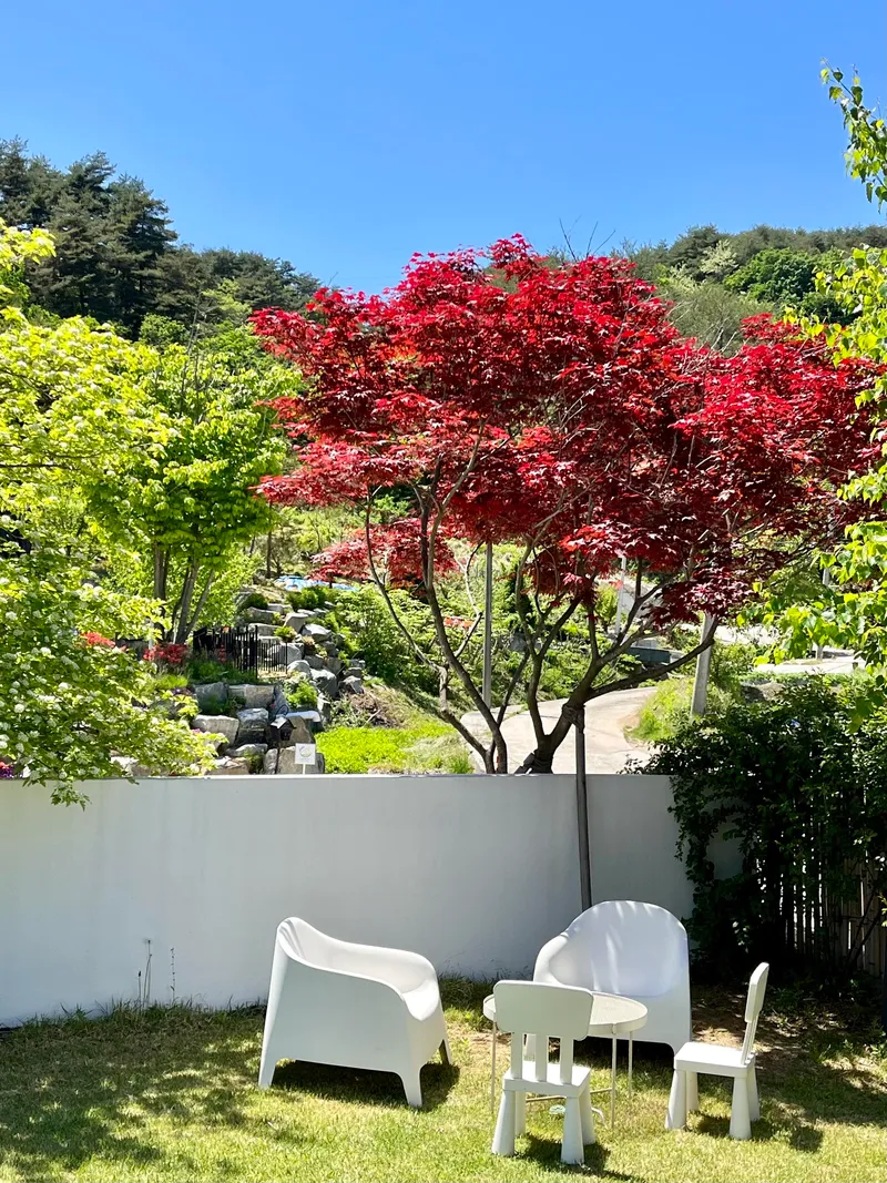 [Gangneung] Gangneung Kids Pension Gangneung Kids Pool Villa Gangneung Pension Four Seasons Hot Water Pool 16
