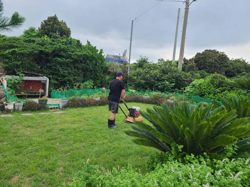 [Gujwa, Jeju] Independent Pension near Hadori Rabbit Island 26