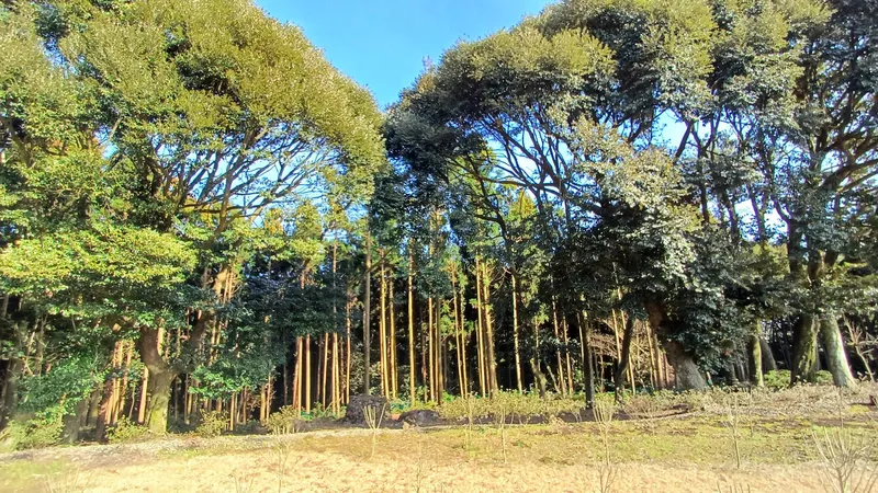 [Gujwa, Jeju] Jeju Shinsang Pension 102 with a beautiful garden and forest 24