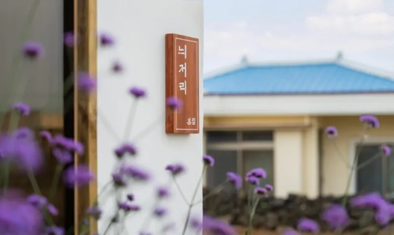 [제주 한림] 제주 늬커리 #겨울바당#올레15코스 24