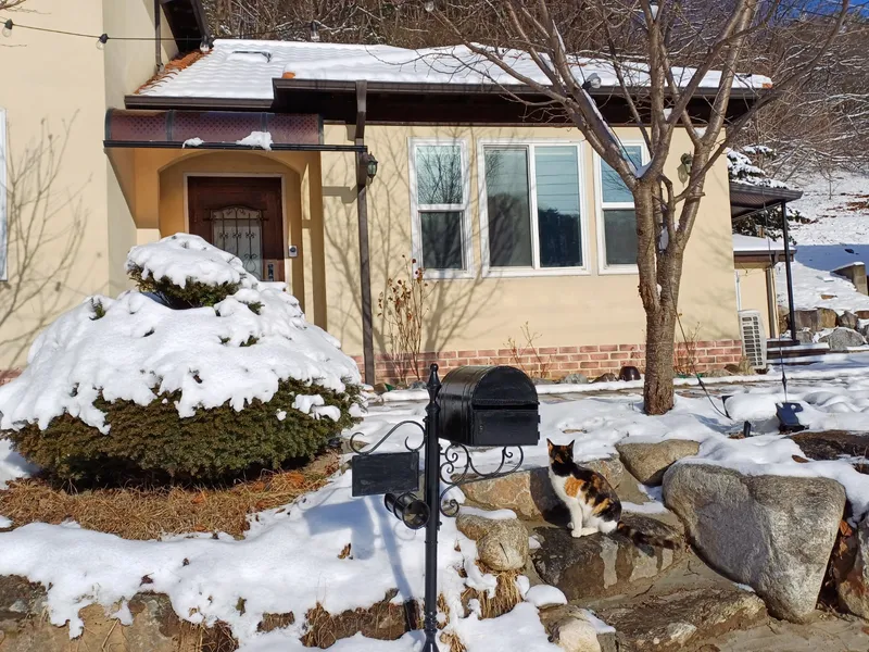 [Gapyeong] Independent accommodation with lawn yard 9