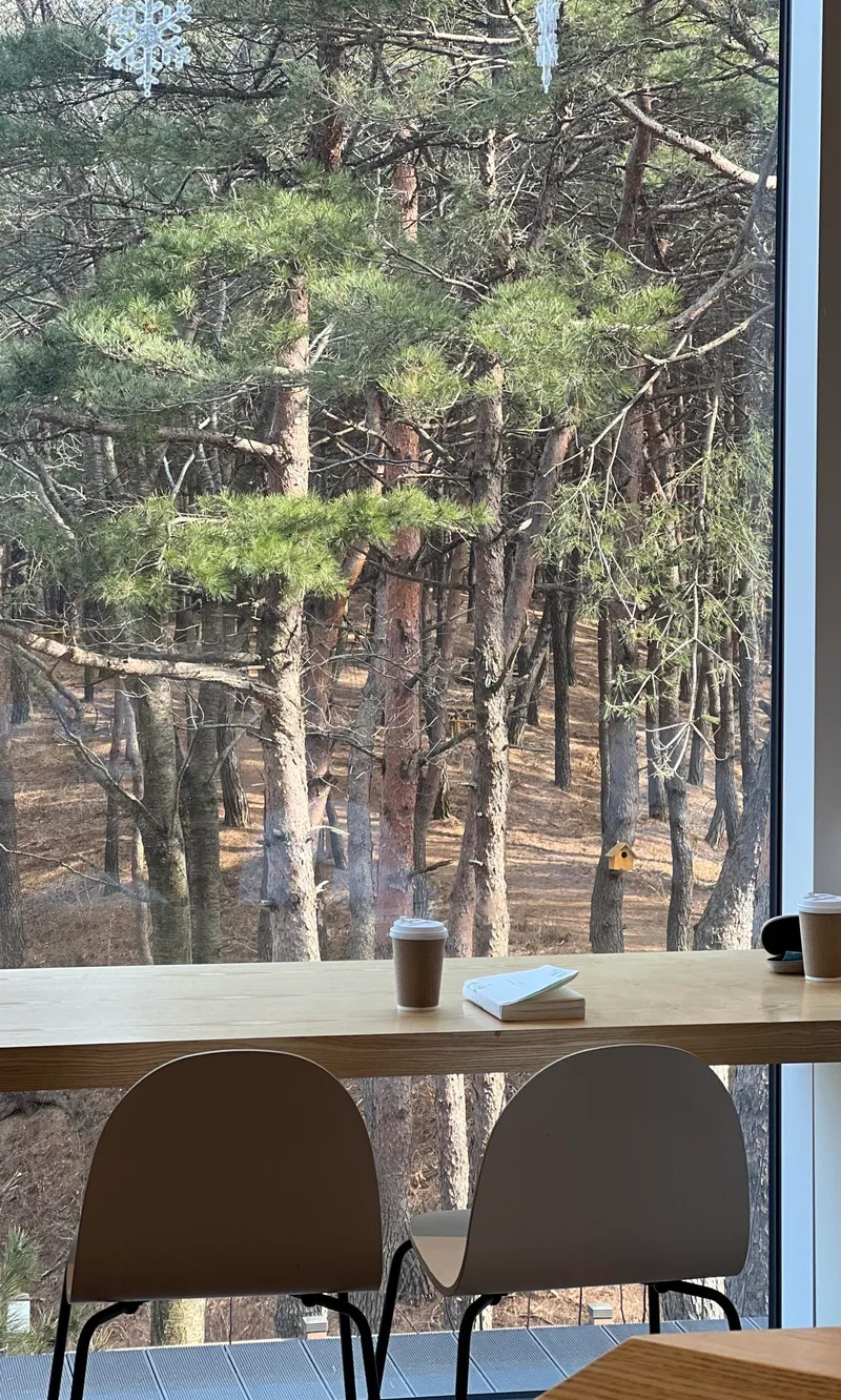 [강원 양양] 바다 근처 전면 오션뷰 감성숙소 #서피비치 5분 22