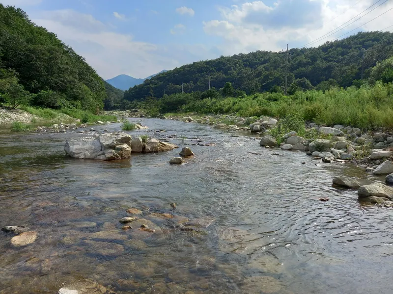 [강원 고성] 바다도 가까운 산아래 계곡 옆 조용한 독채 펜션 24