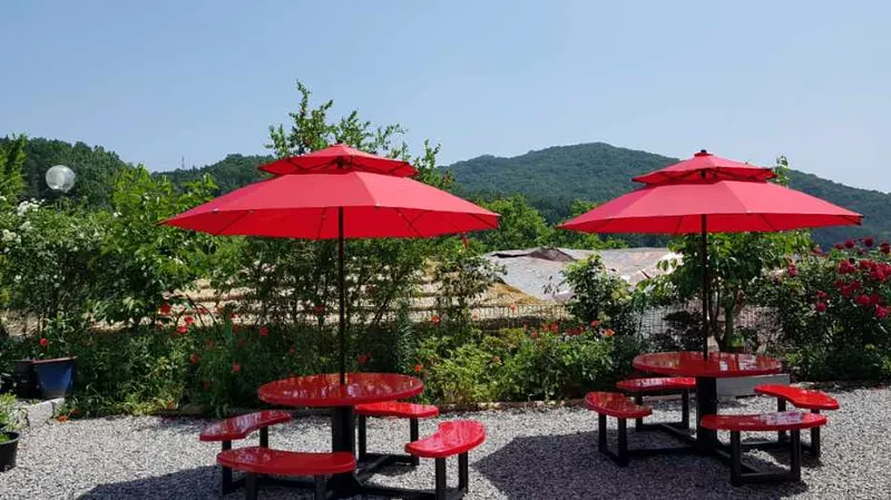 [Jangseong][Jeollanam-do Jangseong] The best phytoncide place in the country, Geumgok Film Village Cypress Pension 103 12