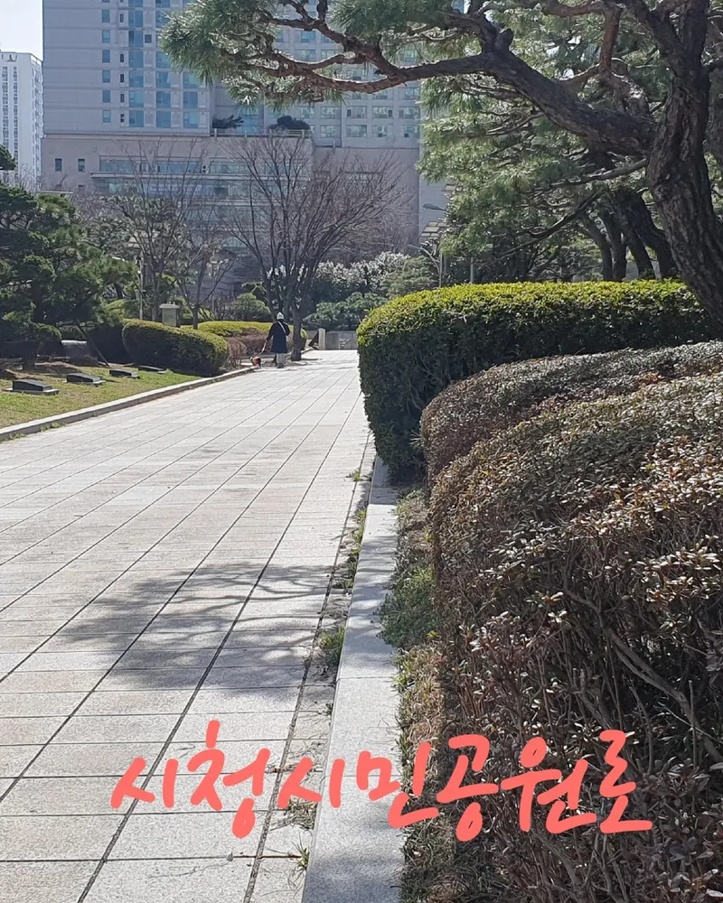 [Yeonje, Busan] City Hall Citizens Park is a place to stay 18