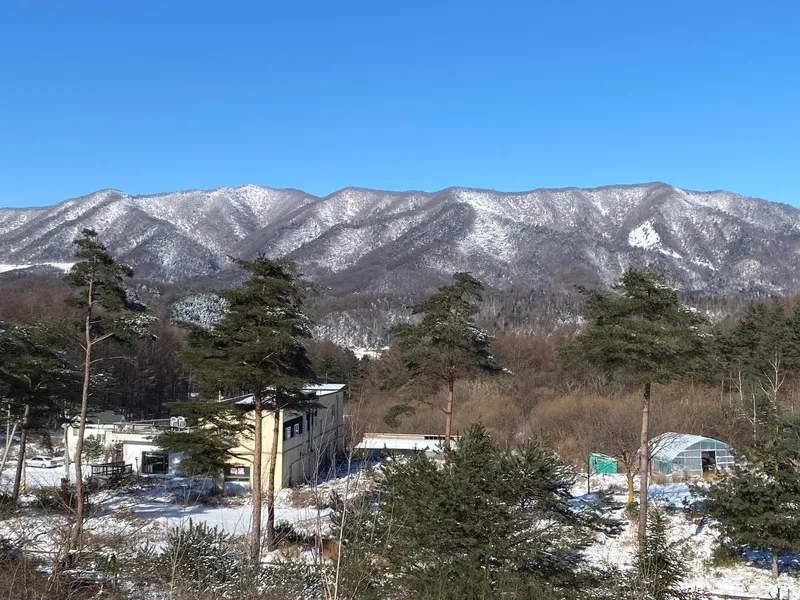 [Pyeongchang] Wildflower Friends_Bongpyeong Forest Complex One-Room 101 19