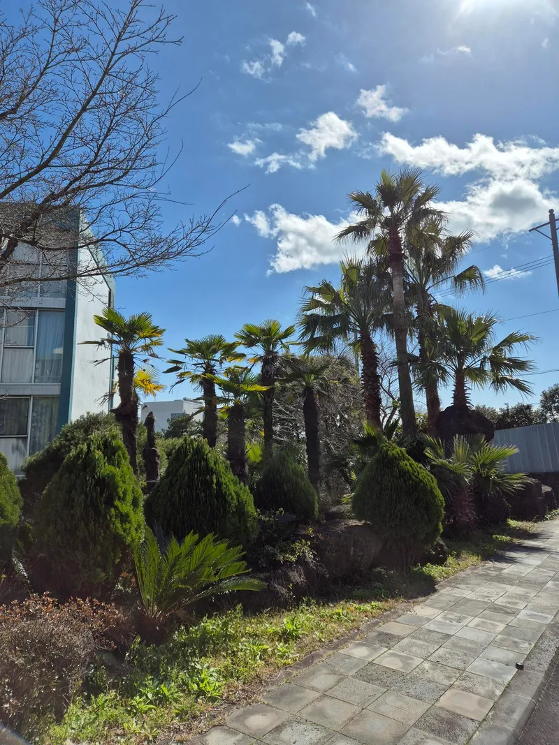 [Topyeong-dong, Seogwipo] (7 days or more) STAY Little Forest #Terrace #CookingStay [Seogwipo] 70