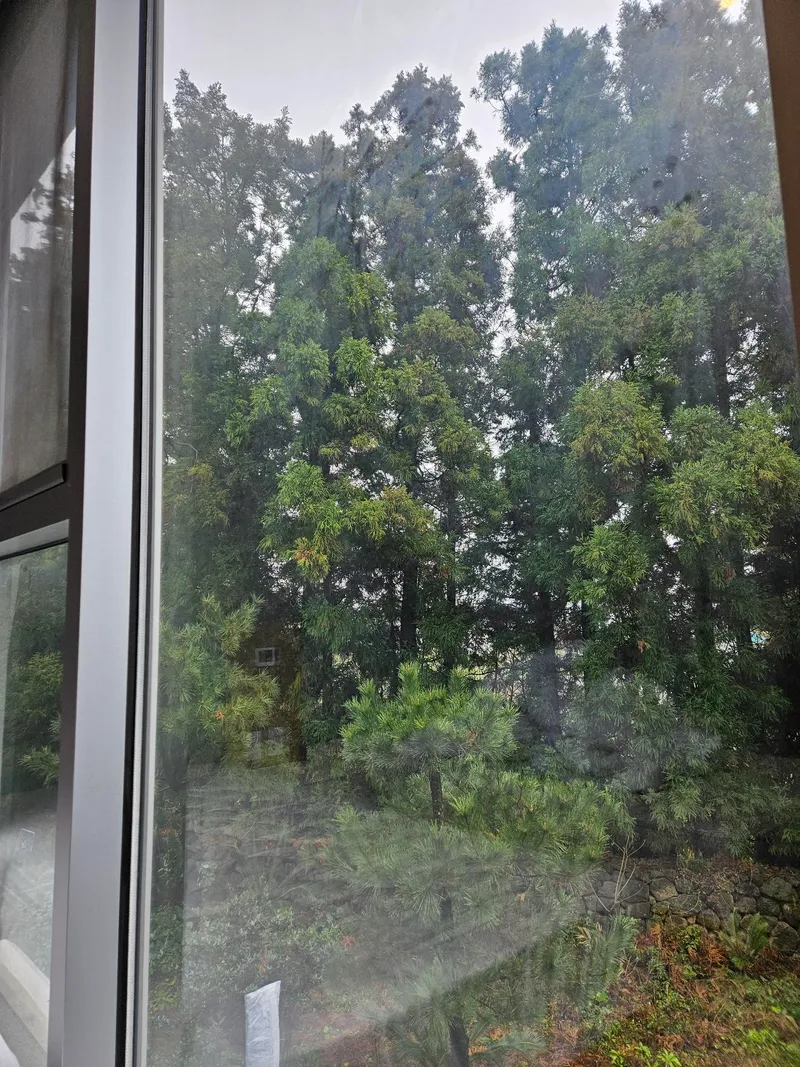 [Topyeong-dong, Seogwipo] P2 Taktwin Full-length glass healing twin bed half-forest forest forest forest view 5