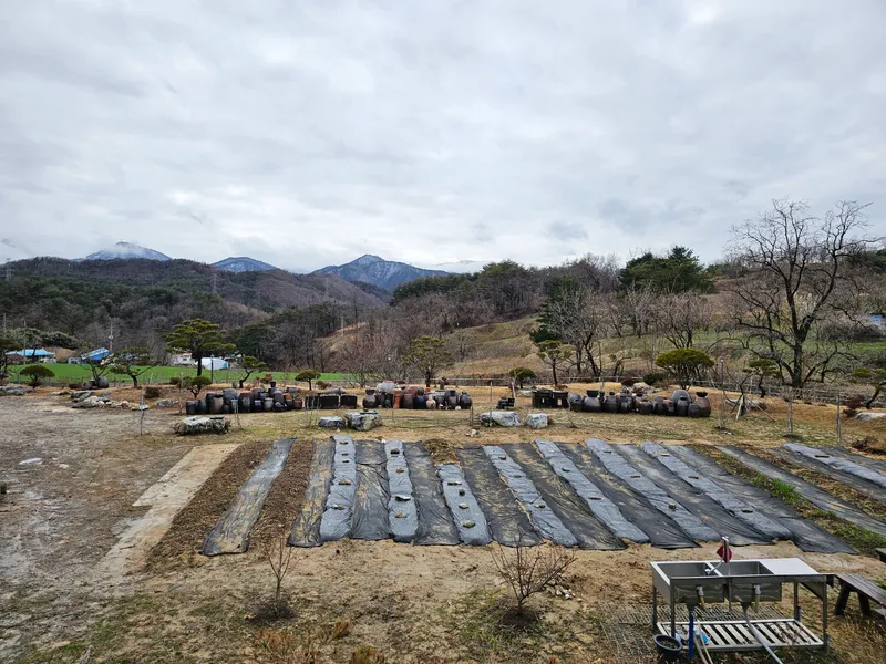 [강원 강릉] 숲세권, 꽃, 나무, 별의 산북정원의 정원실 5