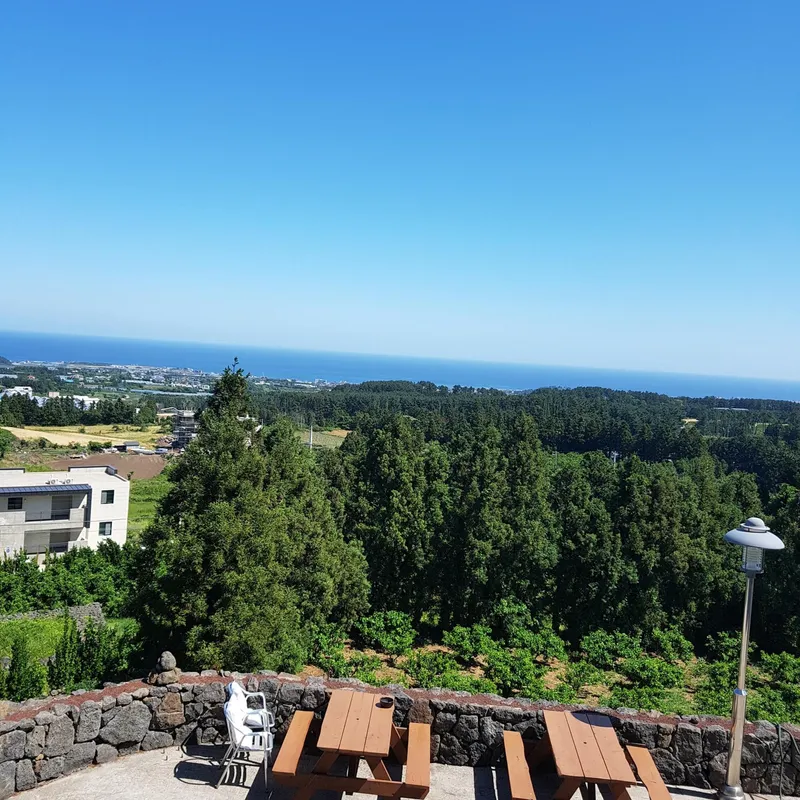 [제주 애월] 반려동물 동반가능한 투베드 리조트 (더블+싱글) 12