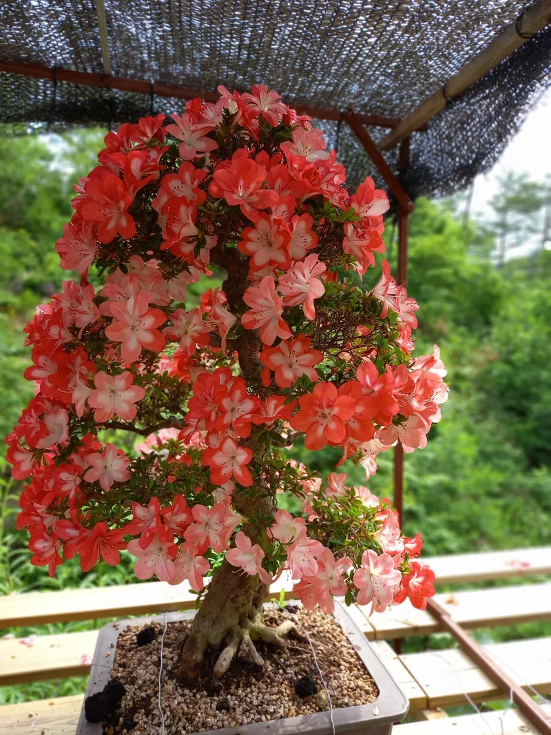[강원 고성] 바다도 가까운 산아래 계곡 옆 조용한 독채 펜션 31