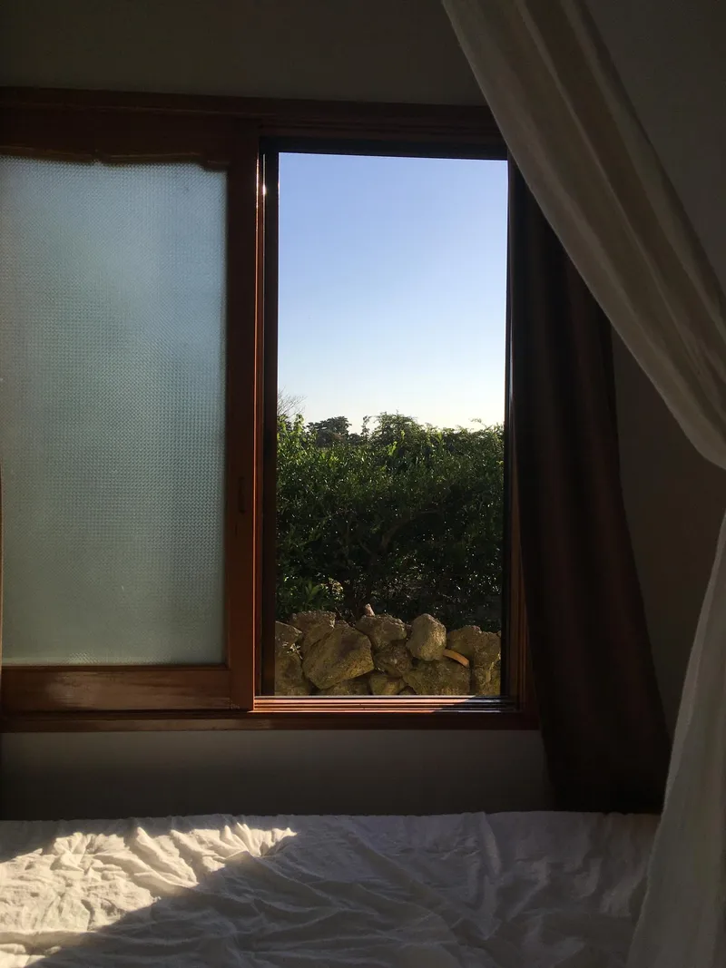 [Hangyeong, Jeju][West of Jeju] The warmest color #Take a break 18