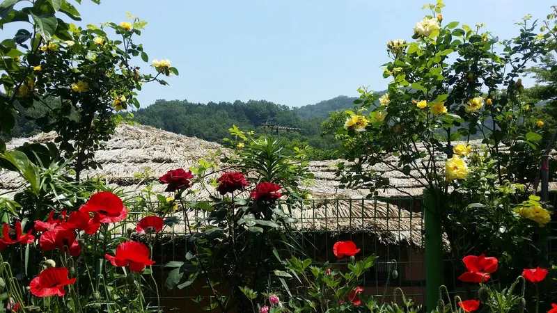 [Jangseong][Jeollanam-do Jangseong] The best phytoncide place in the country, Geumgok Film Village Cypress Pension 103 10