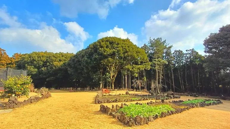 [Gujwa, Jeju] Jeju Shinsang Pension 102 with a beautiful garden and forest 19