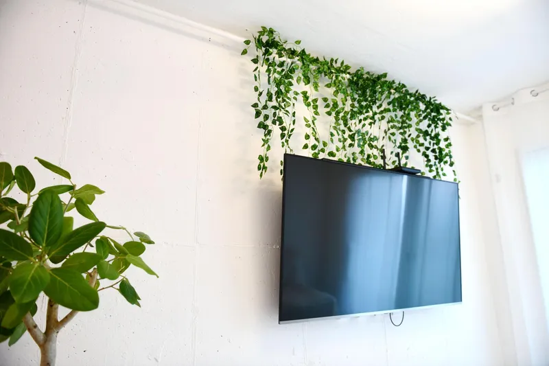 [Seo-gu, Daejeon] End view healing space - History 60