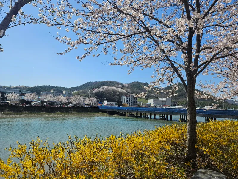 [전남 보성] 벌교읍내 화이트톤 조용한 시골집 단독주택 17
