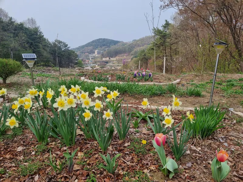 [경기 여주] 숲속에서 한적하게 누리는 쉼 11