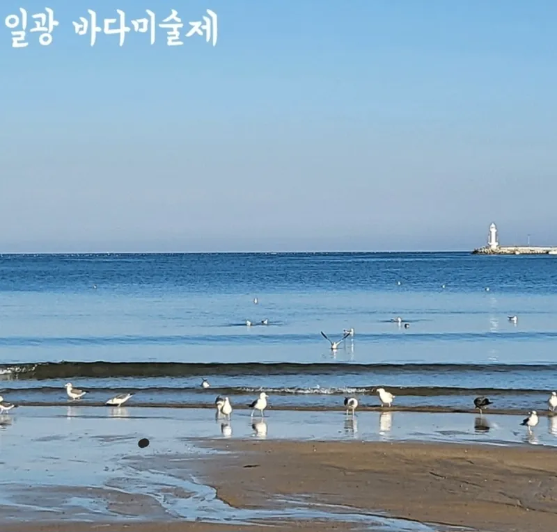 [부산 기장] 일광해수욕장 오션뷰16층 36