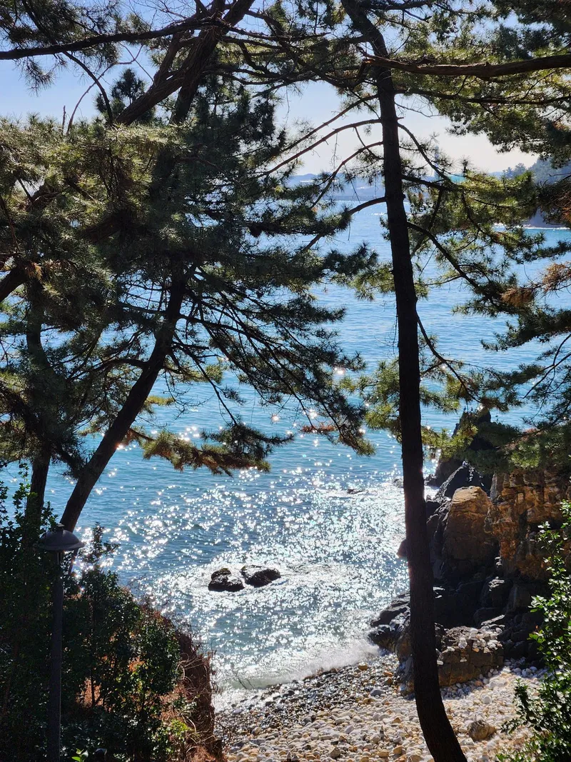 [강원 동해] 바다가보이는 가성비 쓰리룸 빌라 한섬해변 17