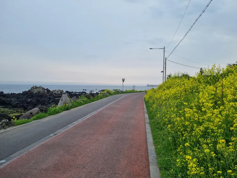 [Beophwan-dong, Seogwipo] Beophwan Port is in front of me (1 minute walk from Beophwan Maksuk) 35
