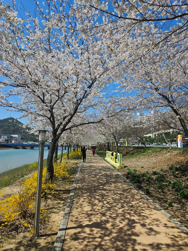 [전남 보성] 벌교읍내 화이트톤 조용한 시골집 단독주택 19