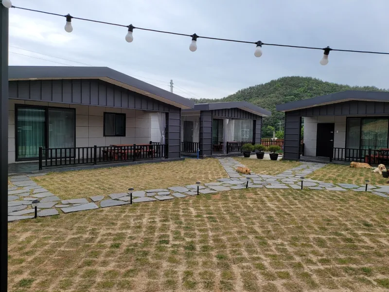 [Goseong] 2 independent pet-friendly pensions in a quiet rural village 15