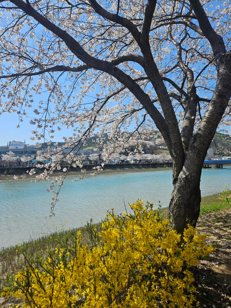 [전남 보성] 벌교읍내 화이트톤 조용한 시골집 단독주택 15