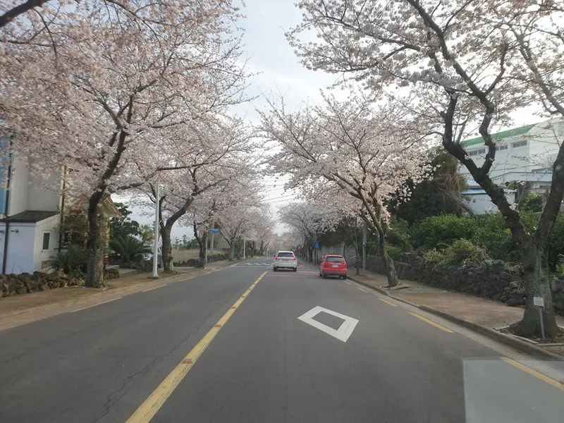 [서귀포 하예동] 오션뷰 제주푸른바다~햇빛짱짱 논짓물 빌라 22