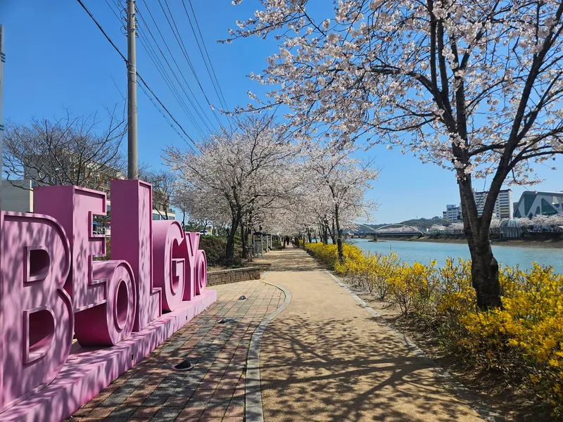 [전남 보성] 벌교읍내 화이트톤 조용한 시골집 단독주택 18