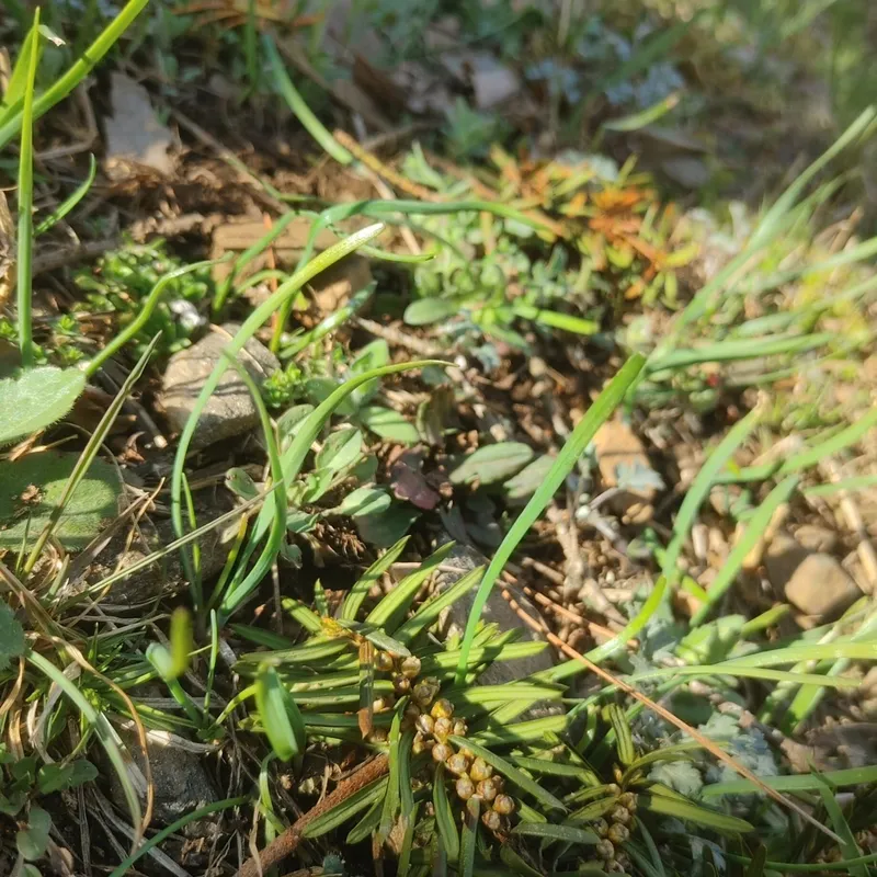 [Gapyeong] Independent accommodation with lawn yard 15
