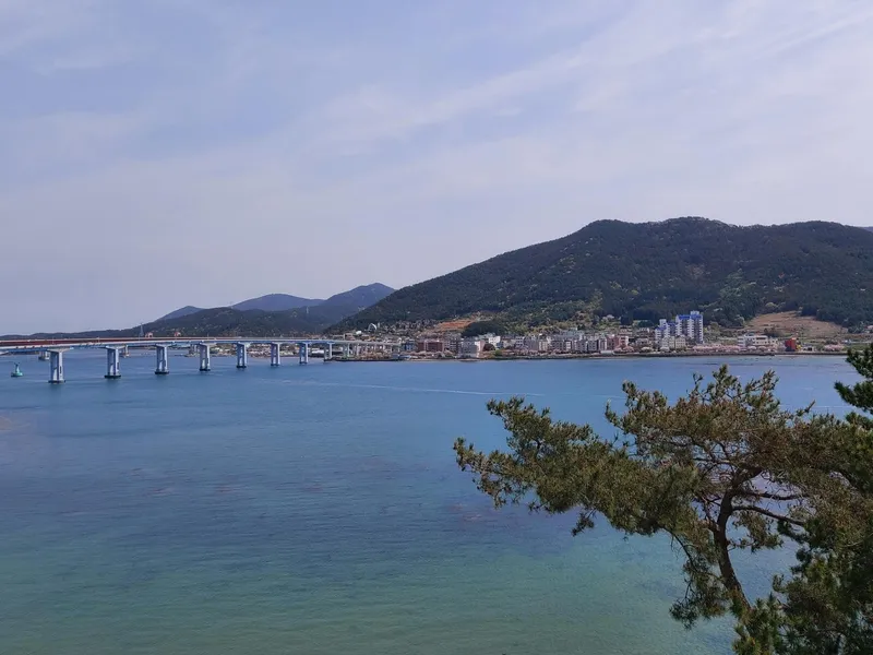 [경남 통영] 구거제대교와 바다가 보이는 산책하기 좋은 펜션 402호 8