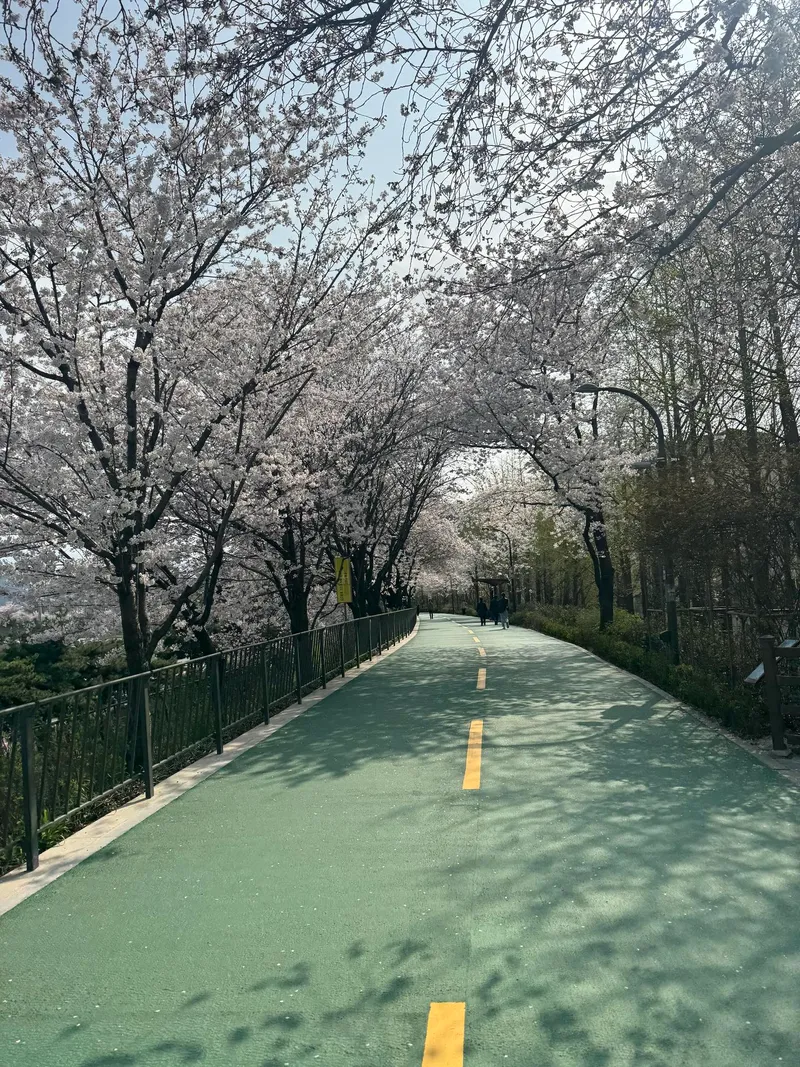 [Seongdong, Seoul] A pretty one-room apartment next to Songjeong Embankment Road and Jungnangcheon Stream 36
