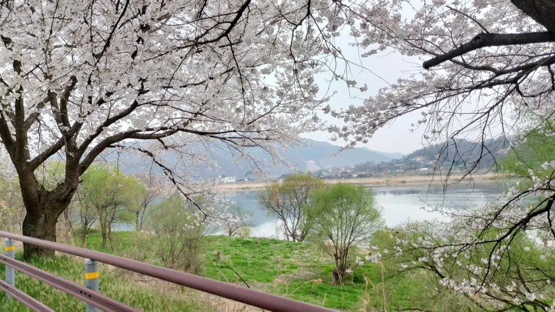 [Yangpyeong] River view and bicycle/walking path/fire pit pretty yard luxury one month living 1st floor 46