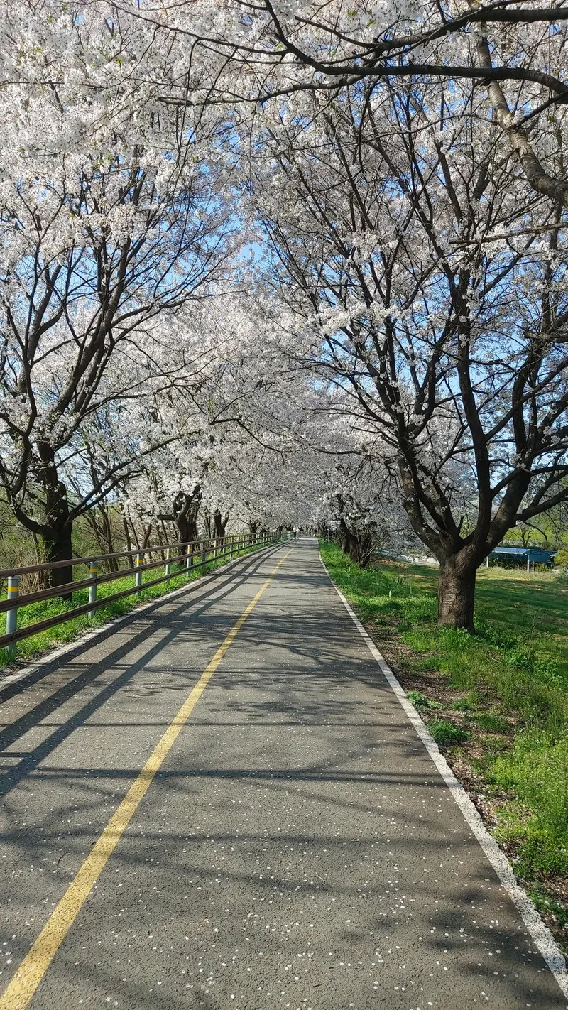 [Yangpyeong] River view and bicycle/walking path/fire pit pretty yard luxury one month living 1st floor 44