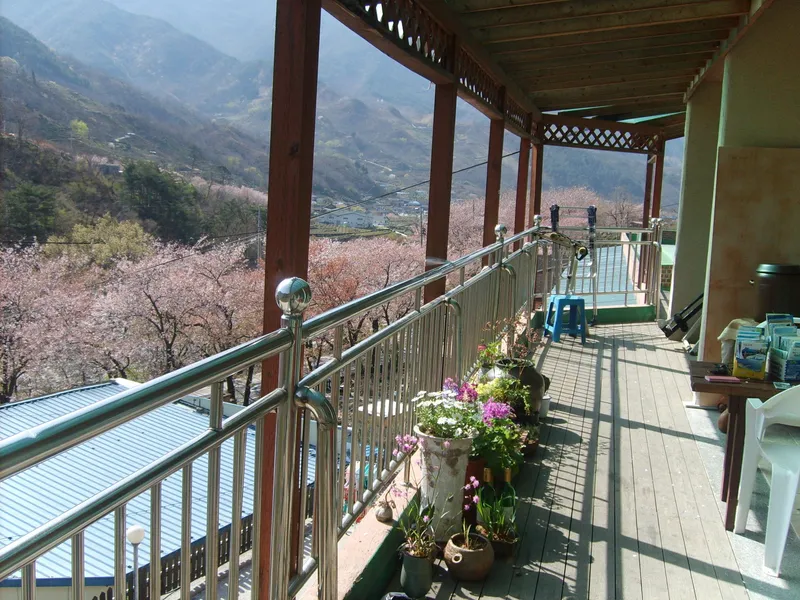 [Hadong] Jirisan Ssanggyesa Seomjin River Hwagae Market Yeongho-nam Place No. 205 11
