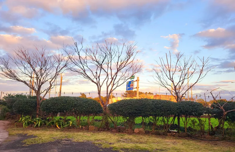 [Gujwa, Jeju] One-room stay (16 pyeong) in a quiet village with a view of the sea in Pyeongdae #102 15