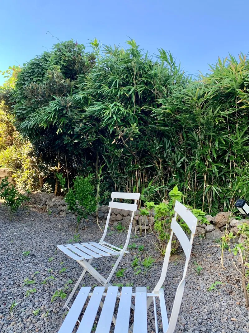 [Hangyeong, Jeju][Panpo] Super Special Price_ Panpo Port Private Duplex with Spacious Yard, Swimming Pool, and BBQ Zone 80